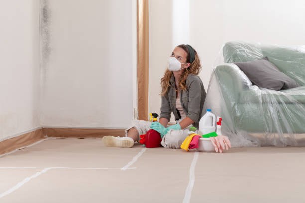 Reliable Basement Mold Removal contractor in Greenville, PA by WQB Mold Removal